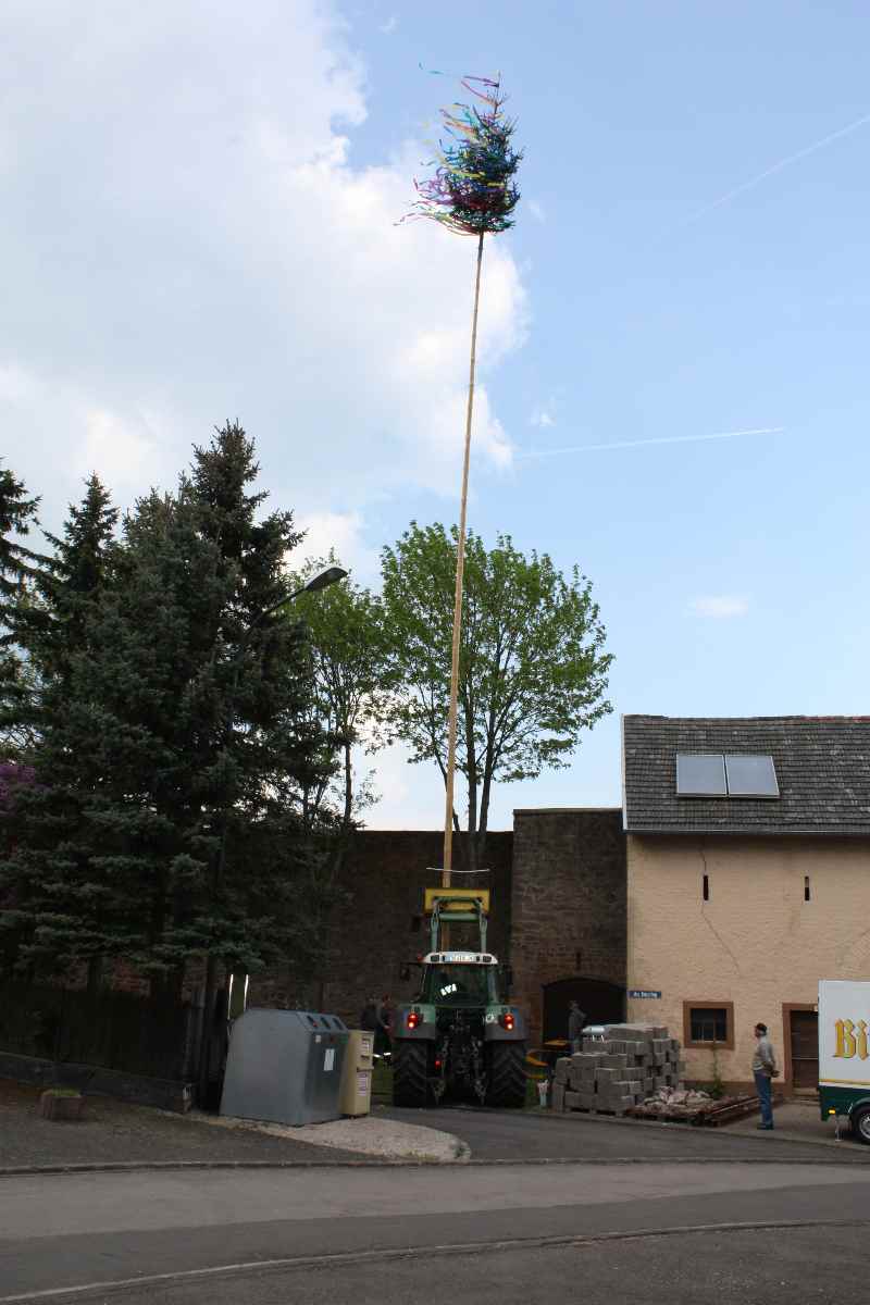 Maibaum